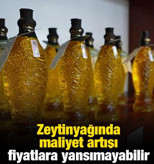 Zeytinyağında maliyet artışı fiyatlara yansımayabilir