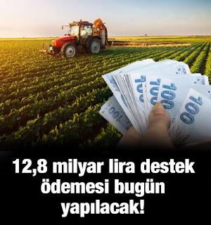 12,8 milyar lira destek &ouml;demesi bug&uuml;n yapılacak!