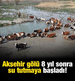 Akşehir G&ouml;l&uuml; 8 yıl aradan sonra su tutmaya başladı
