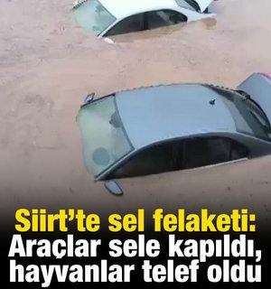 Siirt&rsquo;te ara&ccedil;lar sel sularında kayboldu, onlarca hayvan telef oldu