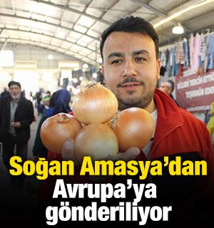 Soğan Amasya'dan Avrupa'ya g&ouml;nderiliyor