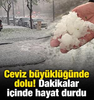 Ceviz b&uuml;y&uuml;kl&uuml;ğ&uuml;nde dolu! Dakikalar i&ccedil;inde hayat durdu