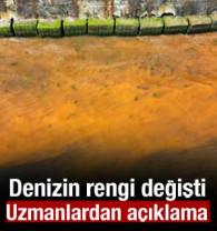 Tekirdağ'da denizin rengi değişti! Uzmanlardan a&ccedil;ıklama geldi