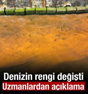 Tekirdağ'da denizin rengi değişti! Uzmanlardan a&ccedil;ıklama geldi