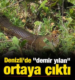 Denizli'de "demir yılan" ortaya &ccedil;ıktı