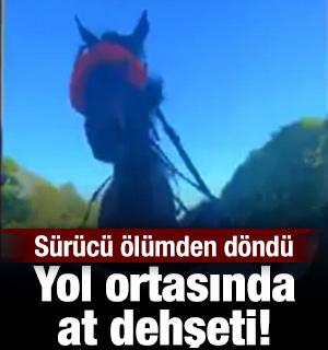 İngiltere'de dehşet anları: Kontrolden &ccedil;ıkan at arabası l&uuml;ks otomobile b&ouml;yle &ccedil;arptı