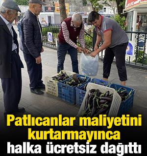 Patlıcanlar maliyetini kurtarmayınca halka &uuml;cretsiz dağıttı