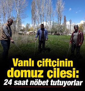 Vanlı &ccedil;ift&ccedil;inin domuz &ccedil;ilesi: 24 saat n&ouml;bet tutuyorlar 