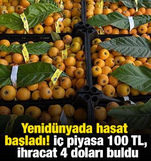 Yenid&uuml;nyada hasat başladı! İ&ccedil; piyasa 100 TL, ihracat 4 doları buldu