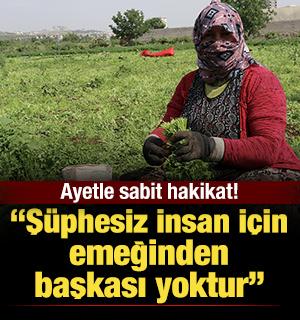 Emek Dayanışma Bayramı ve &Ouml;tesi