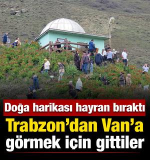 G&ouml;rmek i&ccedil;in Trabzon&rsquo;dan Van&rsquo;a geldiler: Tabiat harikası y&uuml;z&uuml;n&uuml; g&ouml;sterdi