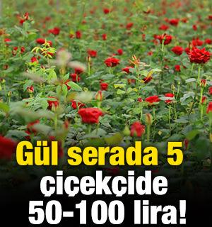 G&uuml;l serada 5, &ccedil;i&ccedil;ek&ccedil;ide 50-100 lira!