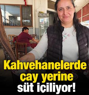 Kahvehanelerde &ccedil;ay yerine s&uuml;t i&ccedil;iliyor!