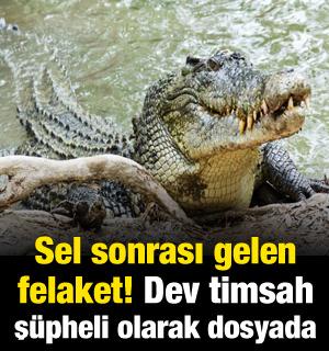 Kayıp soruşturmasında ş&uuml;pheli, dev bir timsah! Sel sonrası gelen felaket