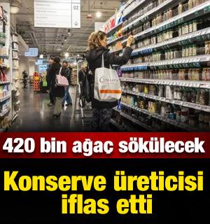 Konserve &uuml;reticisi iflas etti: 420 bin ağa&ccedil; s&ouml;k&uuml;lecek