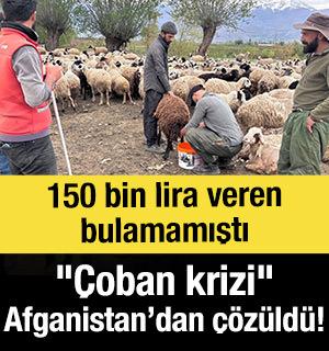 150 bin lira veren bulamamıştı: "&Ccedil;oban krizi" Afganistan&rsquo;dan &ccedil;&ouml;z&uuml;ld&uuml;!
