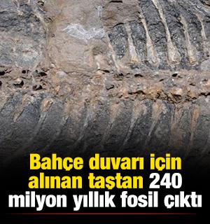 Bah&ccedil;e duvarı i&ccedil;in alınan taştan 240 milyon yıllık fosil &ccedil;ıktı