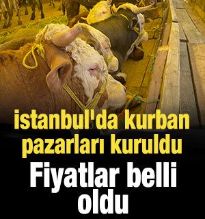 İstanbul'da kurban pazarları kuruldu: Fiyatlar belli oldu