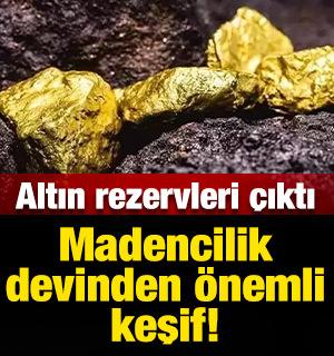 Madencilik devinden &ouml;nemli keşif: Altın ve g&uuml;m&uuml;ş rezervleri ortaya &ccedil;ıktı