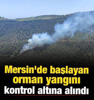 Mersin'de başlayan orman yangını kontrol altına alındı 