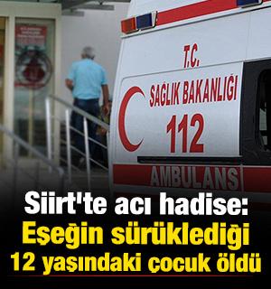 Siirt'te acı hadise: Eşeğin s&uuml;r&uuml;klediği 12 yaşındaki &ccedil;ocuk &ouml;ld&uuml;