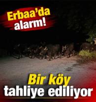 Son dakika: Erbaa'da alarm! Bir k&ouml;y tahliye ediliyor