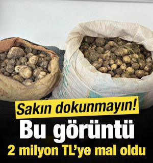 Tunceli&rsquo;de izinsiz salep yumrusu toplayan 3 kişiye 2 milyon TL para cezası