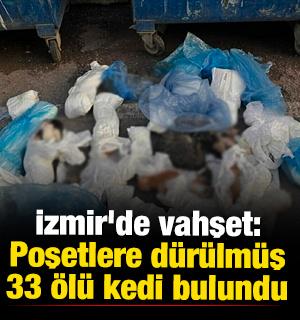 İzmir'de vahşet: Poşetlere d&uuml;r&uuml;lm&uuml;ş 33 &ouml;l&uuml; kedi bulundu