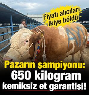 Kurban pazarının şampiyonu: 650 kilogram kemiksiz et vermesi bekleniyor! İşte fiyatı 