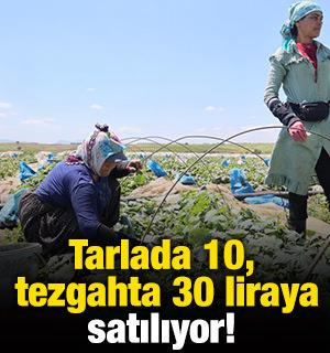 Tarlada 10, tezgahta 30 liraya satılıyor!