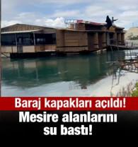 Atat&uuml;rk Barajı&rsquo;nın kapakları a&ccedil;ıldı Fırat Nehri&rsquo;nin kıyısındaki mesire alanlarını su bastı