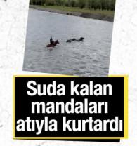 &Ccedil;ayda mahsur kalan mandalarını atıyla suya girerek kurtardı