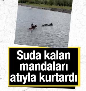 &Ccedil;ayda mahsur kalan mandalarını atıyla suya girerek kurtardı