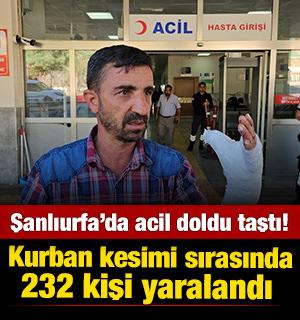 Şanlıurfa'da acil doldu taştı: Kurban kesimi sırasında 232 kişi yaralandı