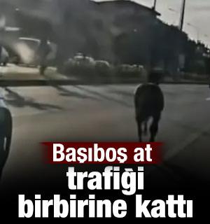 Bursa'da ana yola &ccedil;ıkan başıboş at trafiği birbirine kattı
