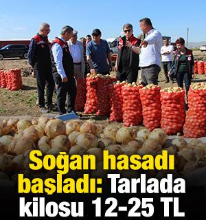 Soğan hasadı başladı: Tarlada kilosu 12-25 TL 