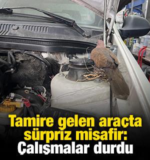 Tamire gelen ara&ccedil;ta s&uuml;rpriz misafir: &Ccedil;alışmalar durdu