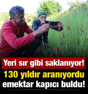 130 yıldır aranıyordu, emektar kapıcı buldu! Amasya&rsquo;da yitik T&uuml;rk lalesi heyecanı