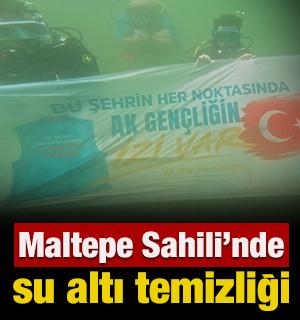 Maltepe Sahili&rsquo;nde su altı temizliği