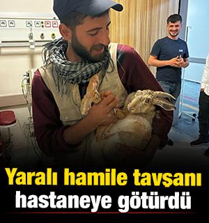 Diyarbakır'da yaralı tavşanı hastaneye g&ouml;t&uuml;rd&uuml;