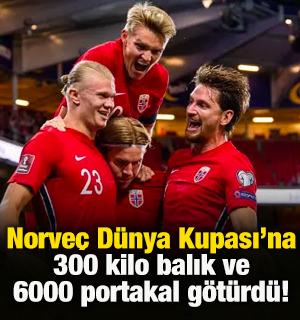 D&uuml;nya Kupası'na gıdalarını g&ouml;t&uuml;rd&uuml;ler! 300 kilo balık ve 6000 adet portakal