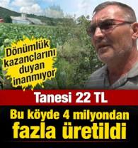 Tanesi 22 TL! Bu k&ouml;yde 4 milyondan fazla &uuml;retildi: Kazan&ccedil;larını duyan inanmıyor 