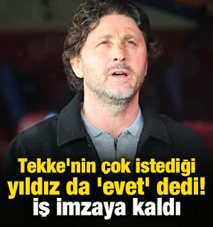 Tekke'nin &ccedil;ok istediği yıldız da 'evet' dedi! İş imzaya kaldı