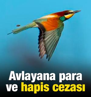 Avlayana para ve hapis cezası