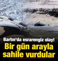 Bartın'da esrarengiz olay! Bir g&uuml;n arayla İHA ve &ouml;l&uuml; yunus balığı sahile vurdu