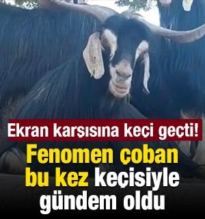 Fenomen &ccedil;oban bu kez ke&ccedil;isiyle g&uuml;ndem oldu