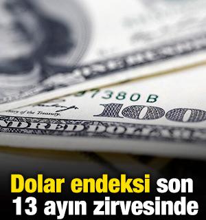 Dolar endeksi son 13 ayın zirvesinde