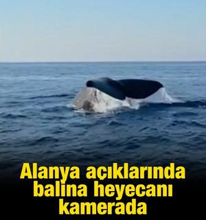 Alanya a&ccedil;ıklarında balina heyecanı kamerada