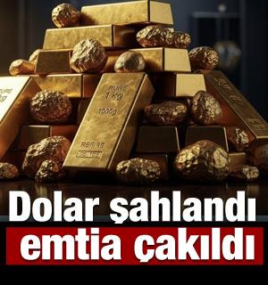 Doların g&uuml;c&uuml; değerli metalleri g&ouml;lgede bıraktı!