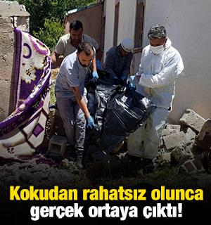 Kokudan rahatsız olunca ger&ccedil;ek ortaya &ccedil;ıktı!